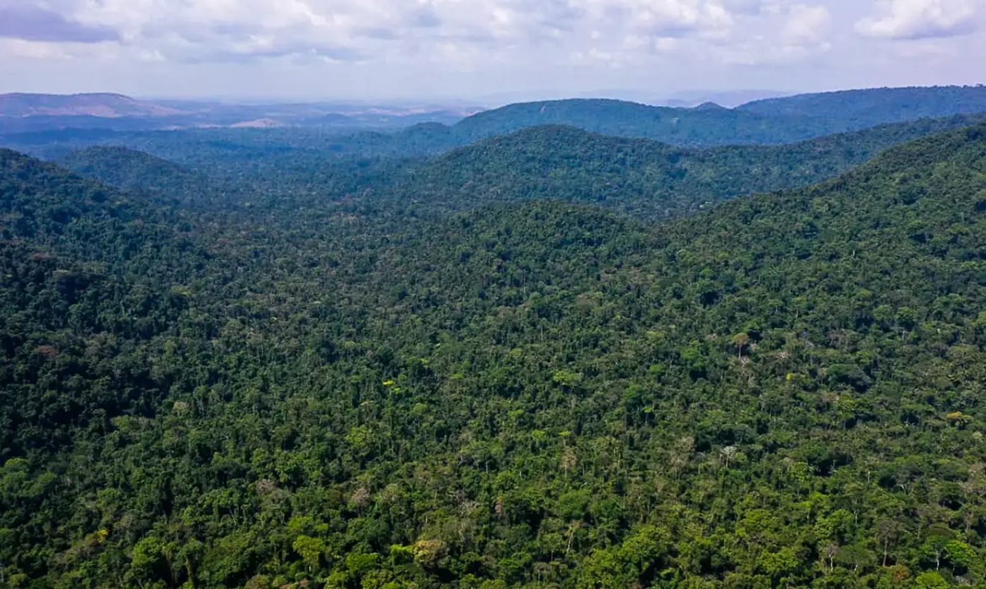Amazonia Amazonia